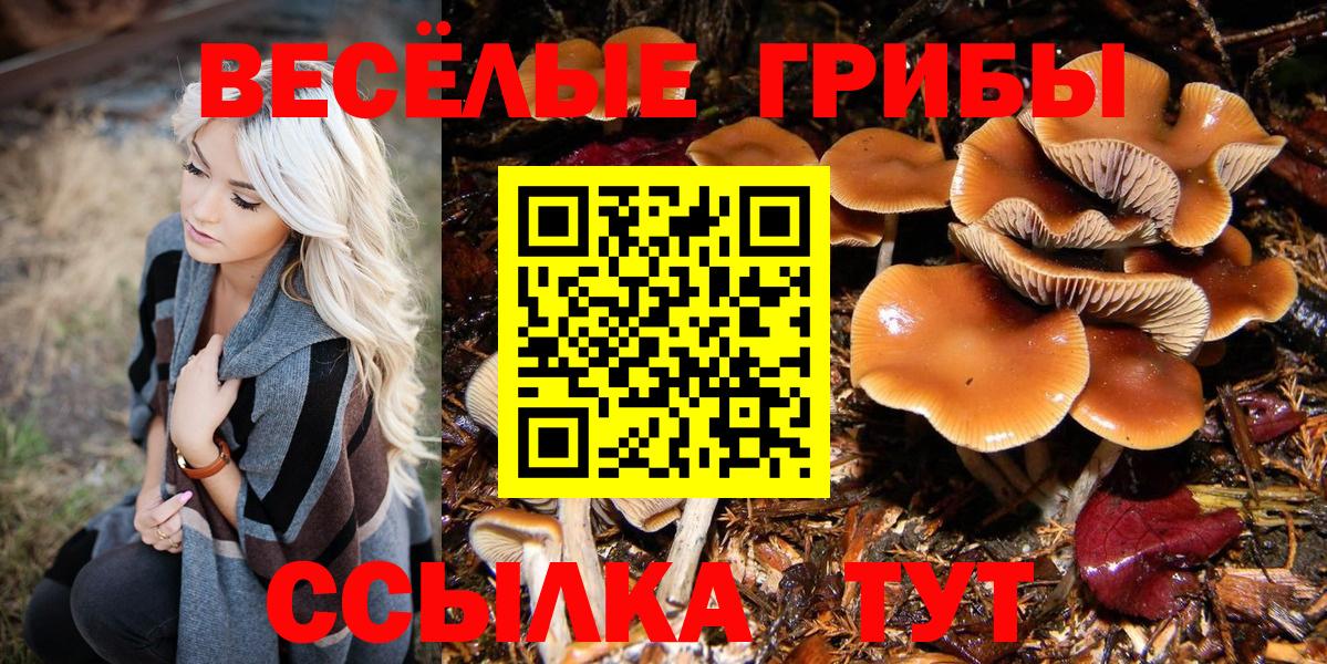Кыштым  Псилоцибиновые грибы Magic Shrooms  Вход с VPN 